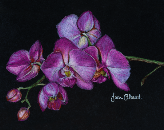 Purple Orchid Greeting Card