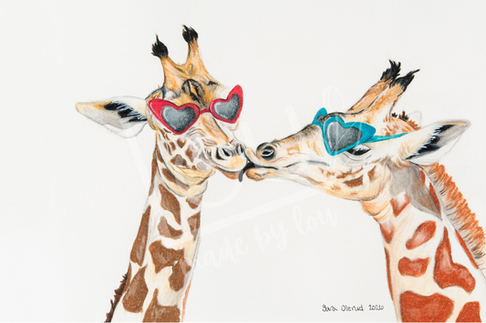 Two giraffes kissing each other wearing heart-shaped sunglasses on a white background