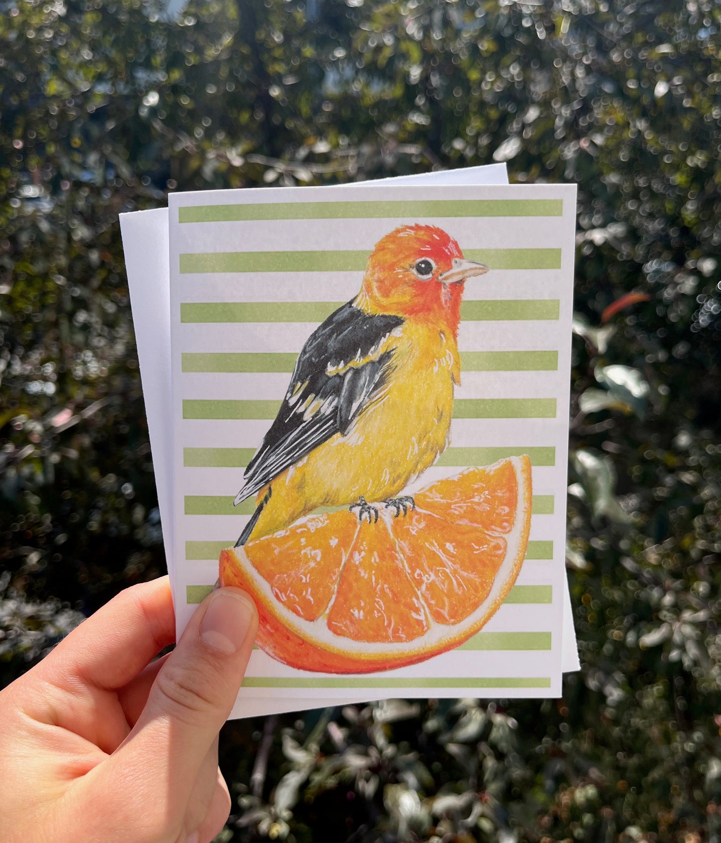 Three Birds Card Bundle