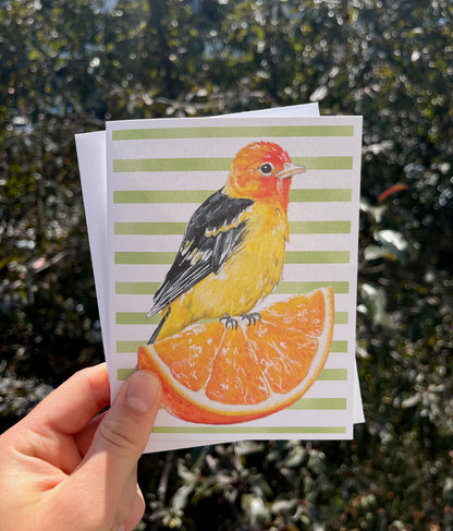 Three Birds Card Bundle