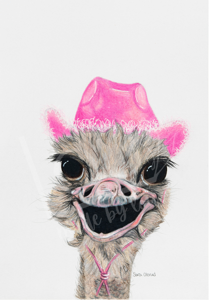 Illustration of an ostrich wearing a pink cowboy hat with a white background
