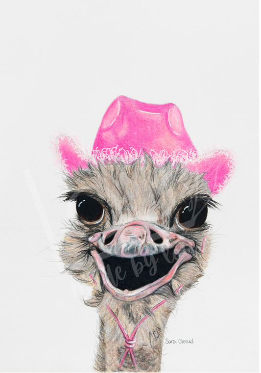 Illustration of an ostrich wearing a pink cowboy hat with a white background