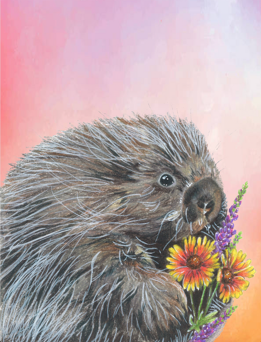 Montana Wildflower Porcupine Greeting Card