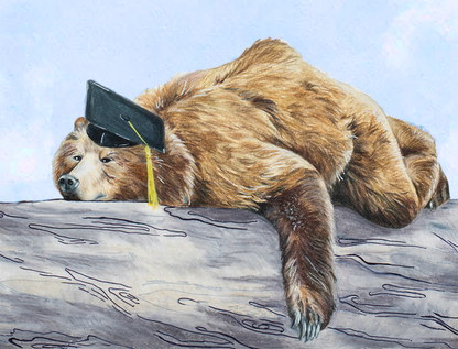 Sleepy Graduation Bear Greeting Card