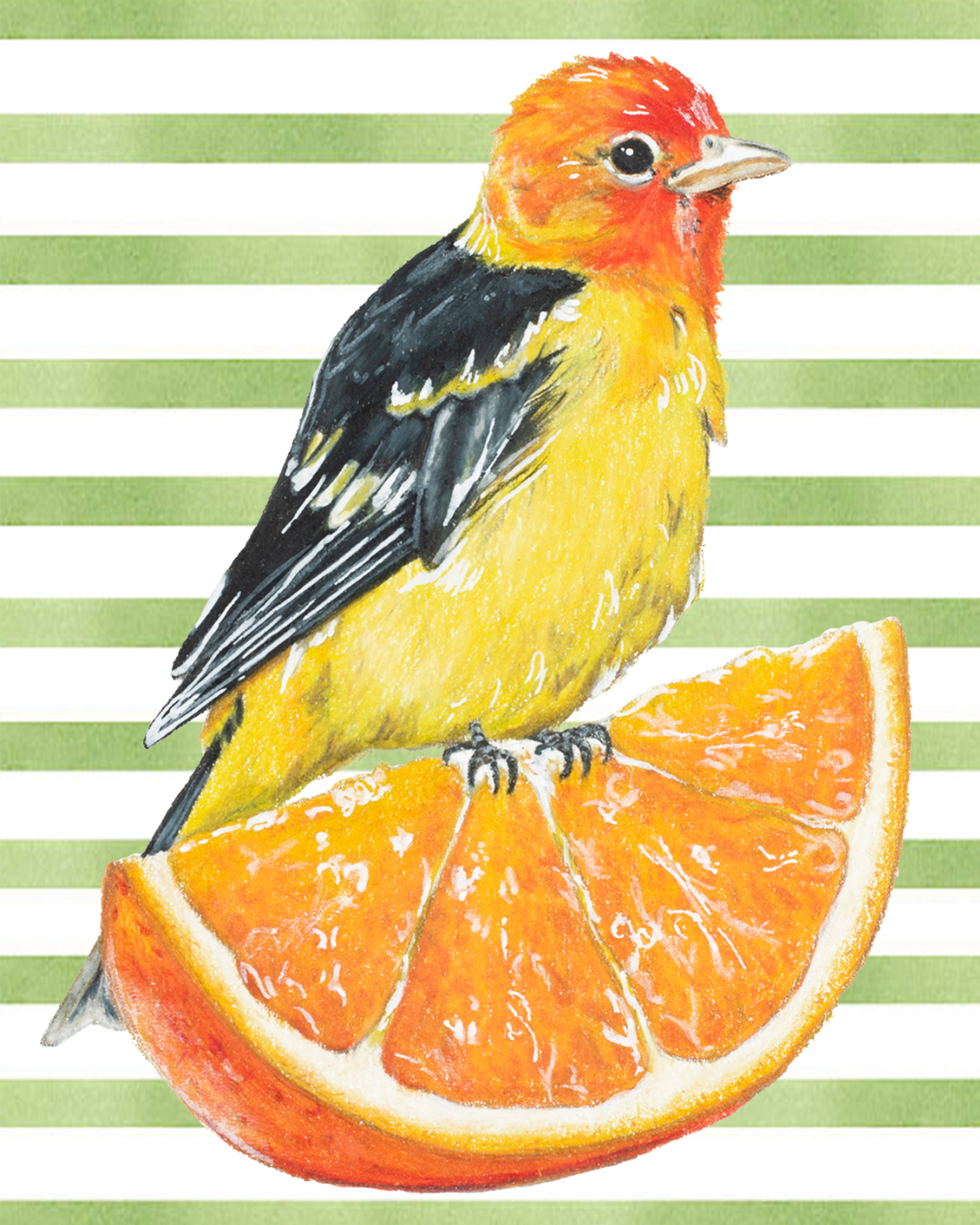Springtime Tananger Greeting Card