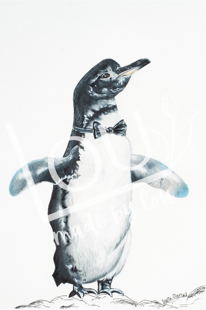 Black and white penguin wearing a black bow tie
